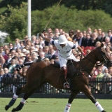 Polo, Commercial Wedding Photographers: Photoscience.co.uk